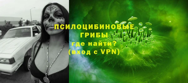 индика Верея