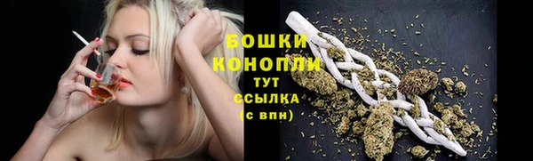 индика Верея