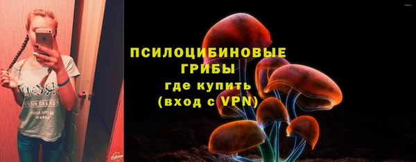 индика Верея