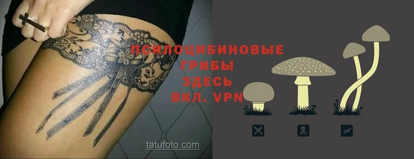 индика Верея