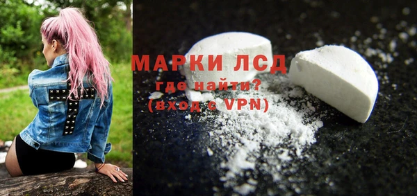 индика Верея