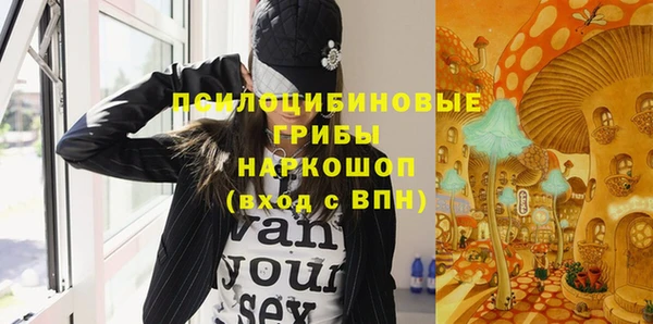 индика Верея