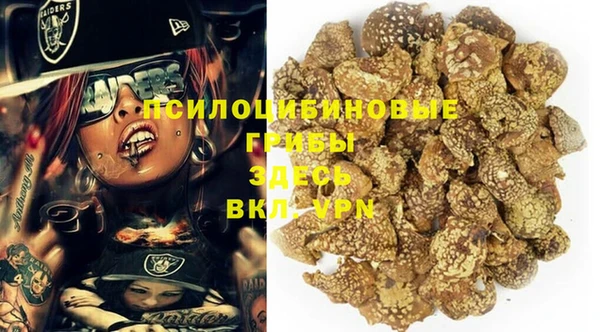 индика Верея